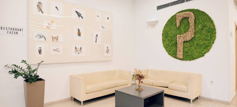 公园酒店(Hotel Park)图片