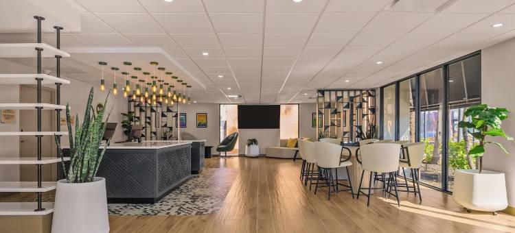 奥兰多国际大道附近的民宿酒店(B&B Hotel Orlando International Drive Near Universal - Newly Renovated!)图片