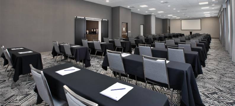 底特律诺维希尔顿逸林酒店(DoubleTree by Hilton Detroit Novi)图片