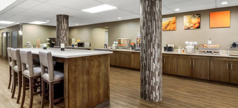 舒适套房酒店-近涅尔波托马克米尔斯(Comfort Suites Near Potomac Mills)图片