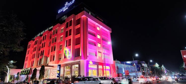 金色郁金香酒店精选齐普尔(Golden Tulip Essential Jaipur)图片