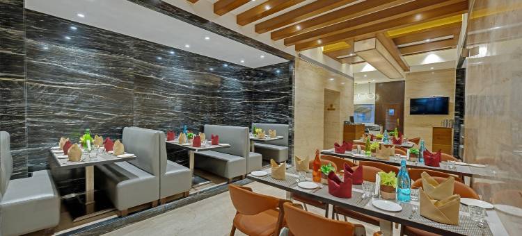 大都会酒店(Comfort Inn Metropolis)图片