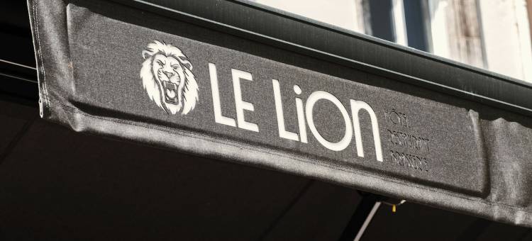 克莱蒙费朗莱恩原生酒店(The Originals Boutique, Hôtel Le Lion, Clermont-Ferrand)图片