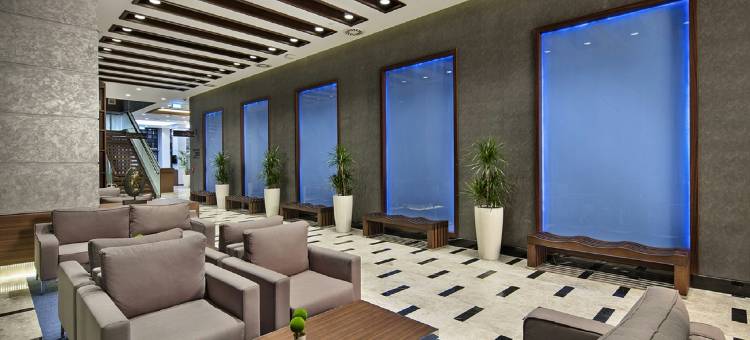 伊兹密尔贝拉克里希尔顿花园酒店(Hilton Garden Inn Izmir Bayrakli)图片