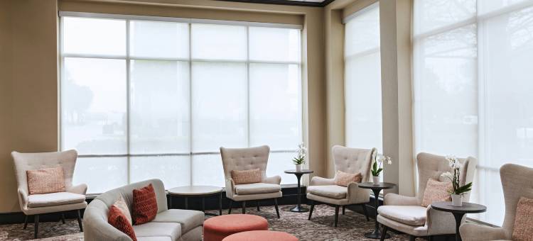 DFW机场南希尔顿花园酒店(Hilton Garden Inn DFW Airport South)图片