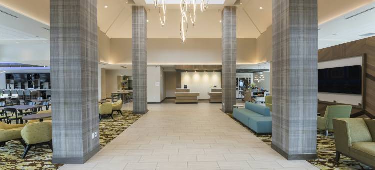 希尔顿花园旅馆-大急流城机场(Hilton Garden Inn Grand Rapids East)图片