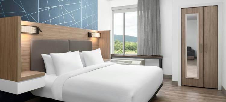 北罗阿诺万豪春丘酒店(SpringHill Suites Roanoke North)图片