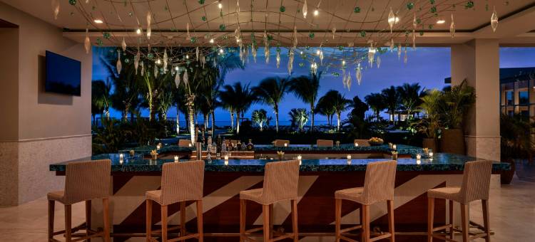 特克斯和凯科斯群岛的丽思卡尔顿公寓(The Ritz-Carlton Residences, Turks & Caicos)图片