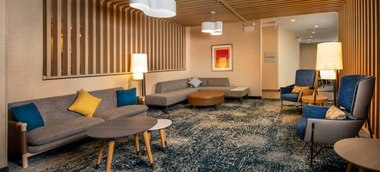 菲德里克TownePlace Suites酒店(TownePlace Suites Frederick)图片