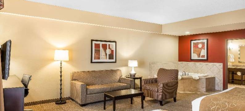 查尔斯顿西阿什利舒适套房酒店(Comfort Suites Charleston West Ashley)图片