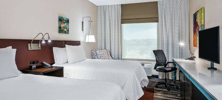 希尔顿花园酒店-圣马科斯(Hilton Garden Inn San Marcos)图片