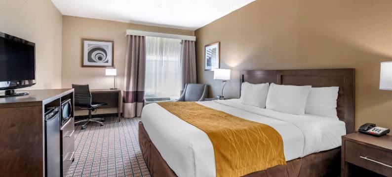 舒适套房酒店(Comfort Inn & Suites)图片