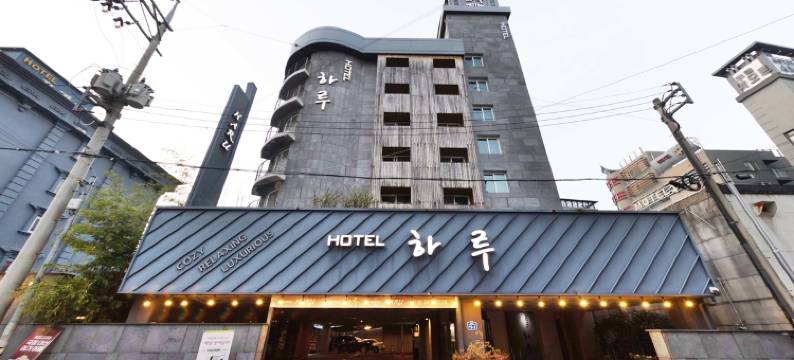 哈鲁饭店(Jeonju Sanjeongdong Hotel Haru)图片