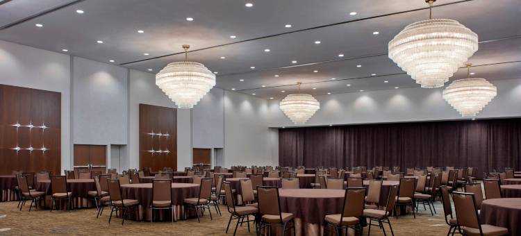 Delta Hotels Winnipeg图片