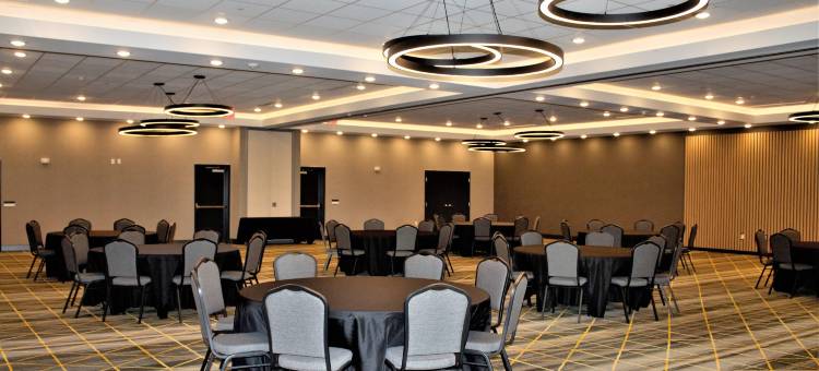 洲际假日酒店沃斯堡 - 联盟(Holiday Inn Fort Worth - Alliance)图片