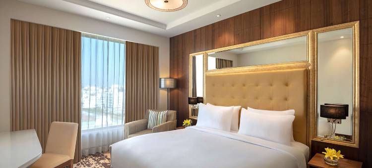 浦那辛吉瓦蒂丽笙酒店(Radisson Blu Pune Hinjawadi)图片