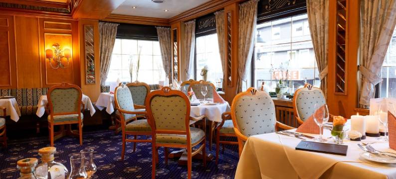 格贝尔斯兰德酒店(Göbels Landhotel)图片