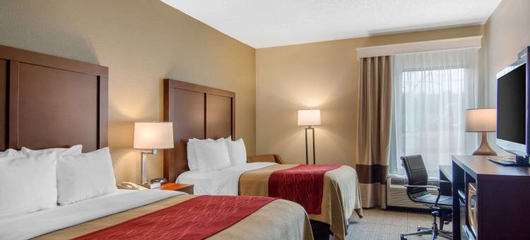 里士满南切斯特舒适酒店(Comfort Inn Chester - Richmond South)图片