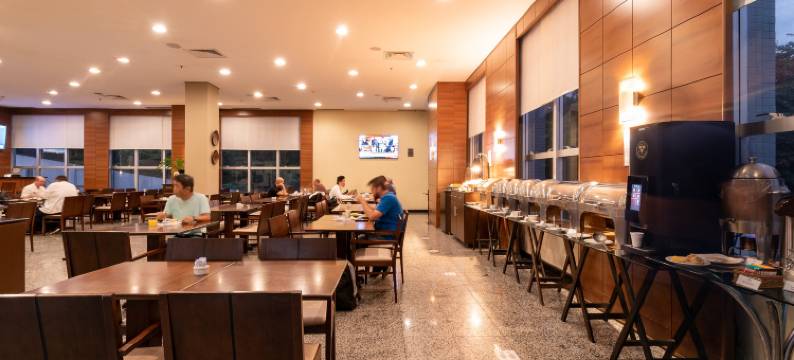 玛瑙斯假日酒店(Holiday Inn MANAUS by IHG)图片