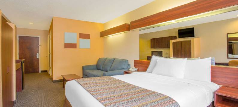 Microtel Inn & Suites by Wyndham Kannapolis/Concord图片