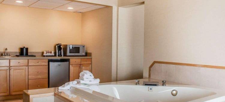 瀑布品质酒店及套房(Quality Hotel & Suites at the Falls)图片
