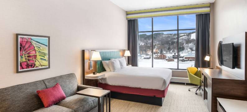 霍顿汉普顿套房酒店(Hampton Inn & Suites by Hilton Houghton)图片