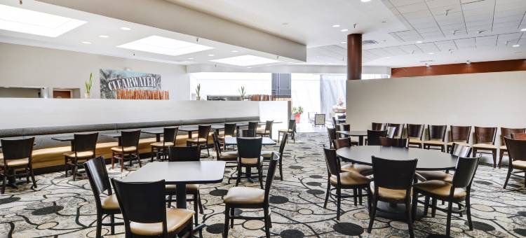 圣彼得堡北克利尔沃特假日酒店(Holiday Inn ST. Petersburg N- Clearwater)图片