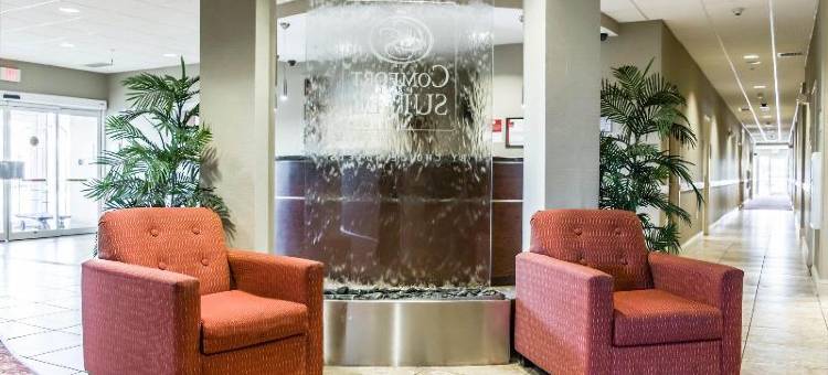 舒适套房酒店-棕榈湾墨尔本(Comfort Suites Palm Bay - Melbourne)图片