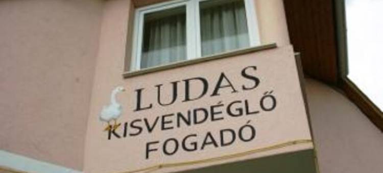 鲁达斯佛格多住宿加早餐旅馆(Ludas Fogadó)图片