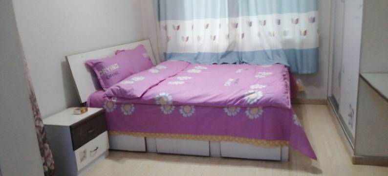 娜丽莎温馨日租房民宿(振兴路分店)图片