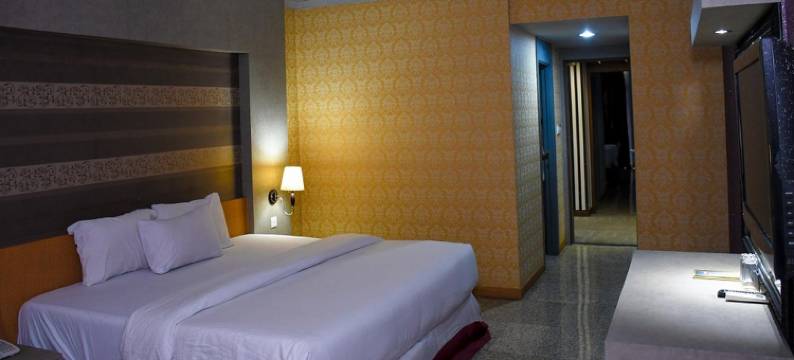 伊莫康科德酒店(Imo Concorde Hotel)图片