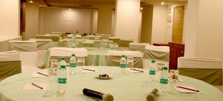 尼米拉那斯达利特套房酒店(Starlit Suites Neemrana)图片