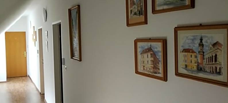 薰衣草旅馆(Levanda Panzió)图片