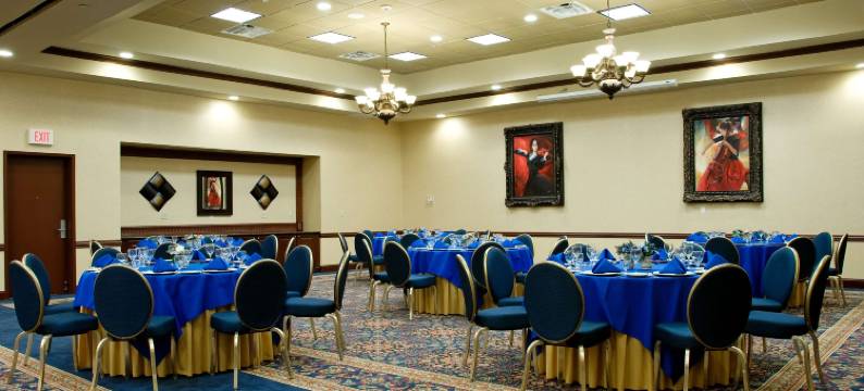 阿马里洛希尔顿花园旅馆(Hilton Garden Inn Amarillo)图片