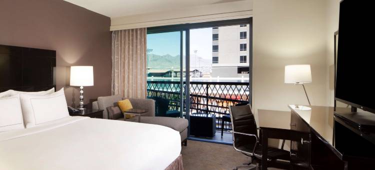 埃尔帕索市中心希尔顿逸林酒店(DoubleTree by Hilton Hotel El Paso Downtown)图片