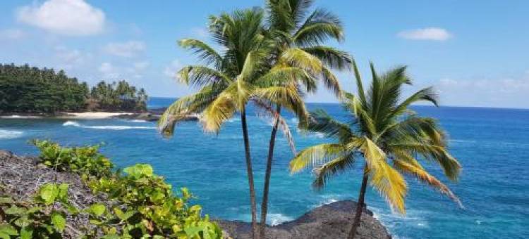 Gombela Ecolodge and Farming图片