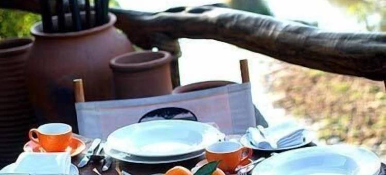 玛拉探索者酒店(Mara Explorer)图片