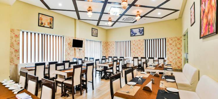 阿姆里特曼森酒店(Hotel Amrit Manthan)图片