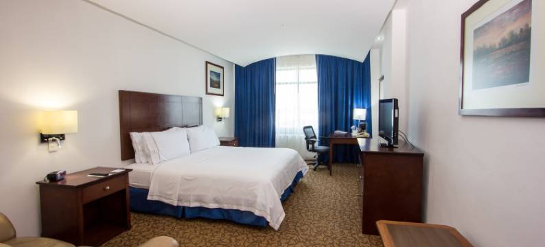 Holiday Inn Express 新拉莱多(Holiday Inn Express NUEVO LAREDO by IHG)图片