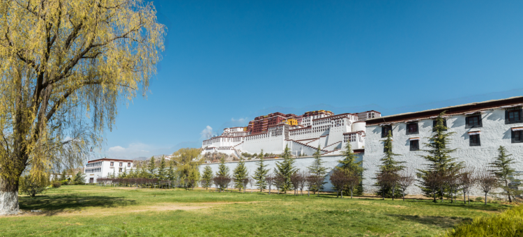 红山富氧酒店布达拉宫广场店图片