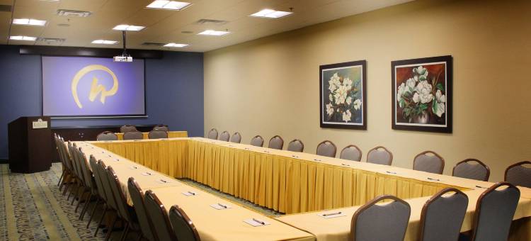 奥兰多罗森酒店(Rosen Inn at Pointe Orlando)图片