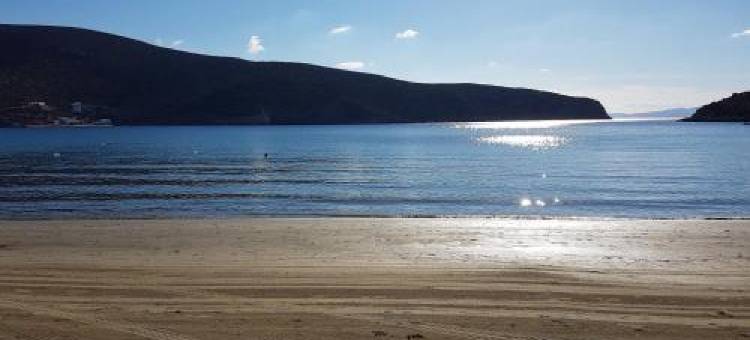 Captain Yannis图片