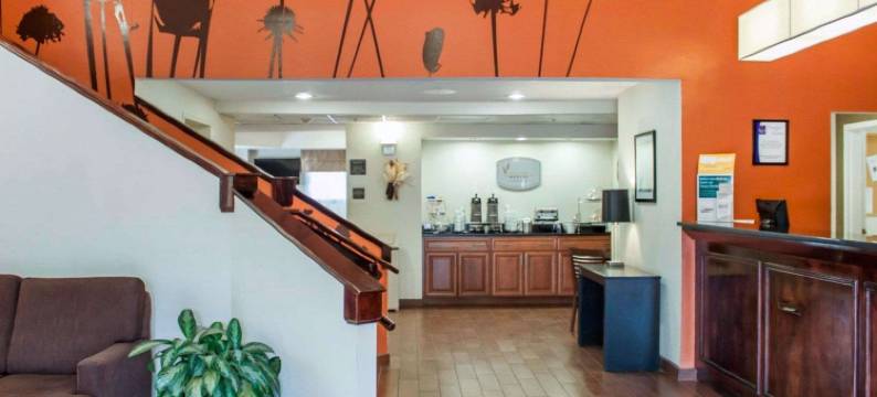 北查尔斯顿阿什利弗斯菲特舒眠酒店(Sleep Inn North Charleston Ashley Phosphate)图片