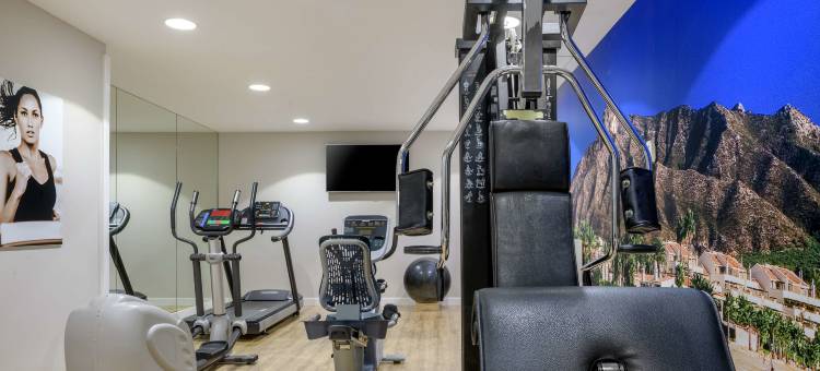NH马贝拉酒店(NH COLLECTION MARBELLA)图片
