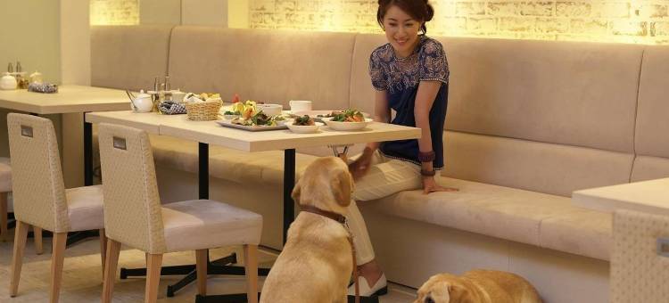小谷流之里·狗狗岛酒店(Koyaru-no-sato Doggys Island)图片
