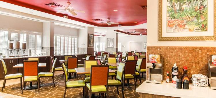 东铭基舒适套房酒店(Comfort Suites Maingate East)图片