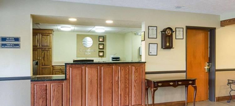 新河舒适酒店(Comfort Inn New River)图片