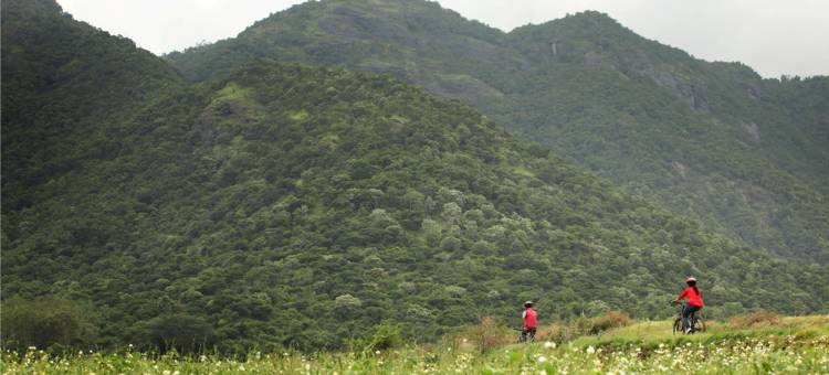 新鲜采收农场家庭旅馆(Harvest Fresh Farms)图片