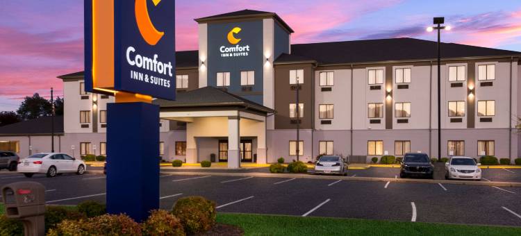 舒适套房酒店(Comfort Inn & Suites)图片