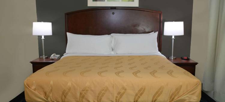 都柏林品质套房酒店(Quality Inn & Suites Dublin)图片